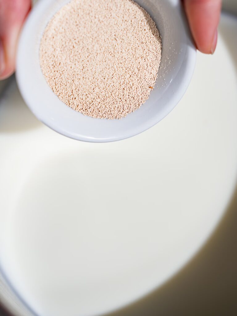 Trockenhefe wird zur Milch gegeben-