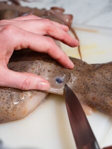 Dem Pulpo werden die Augen mit einem Keilschnitt herausgeschnitten.